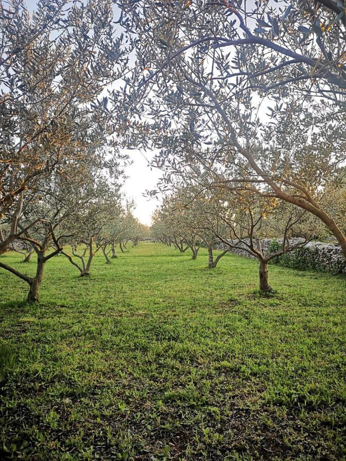 Drinovci Country House Peace מראה חיצוני תמונה